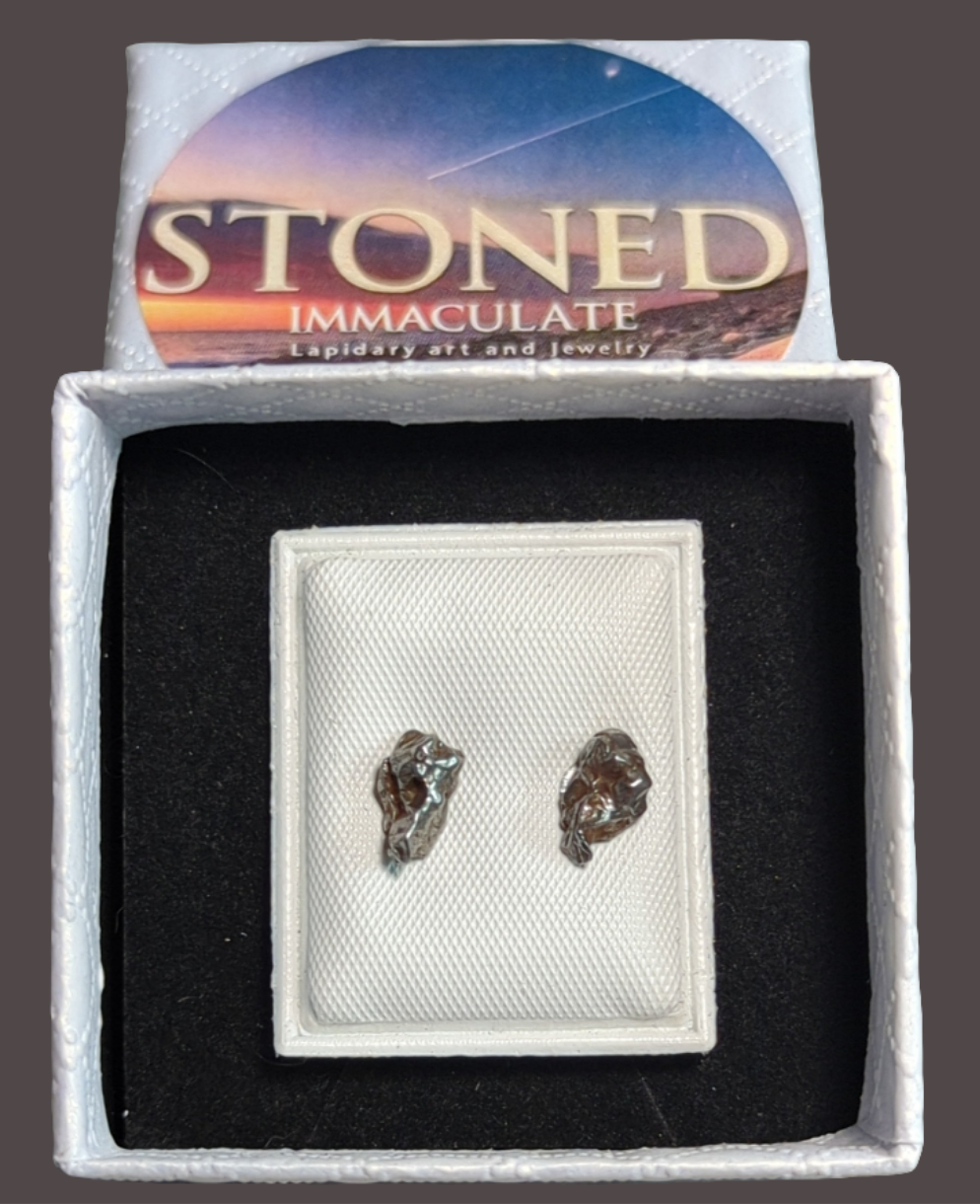 Campo del Cielo Meteorite Earrings
