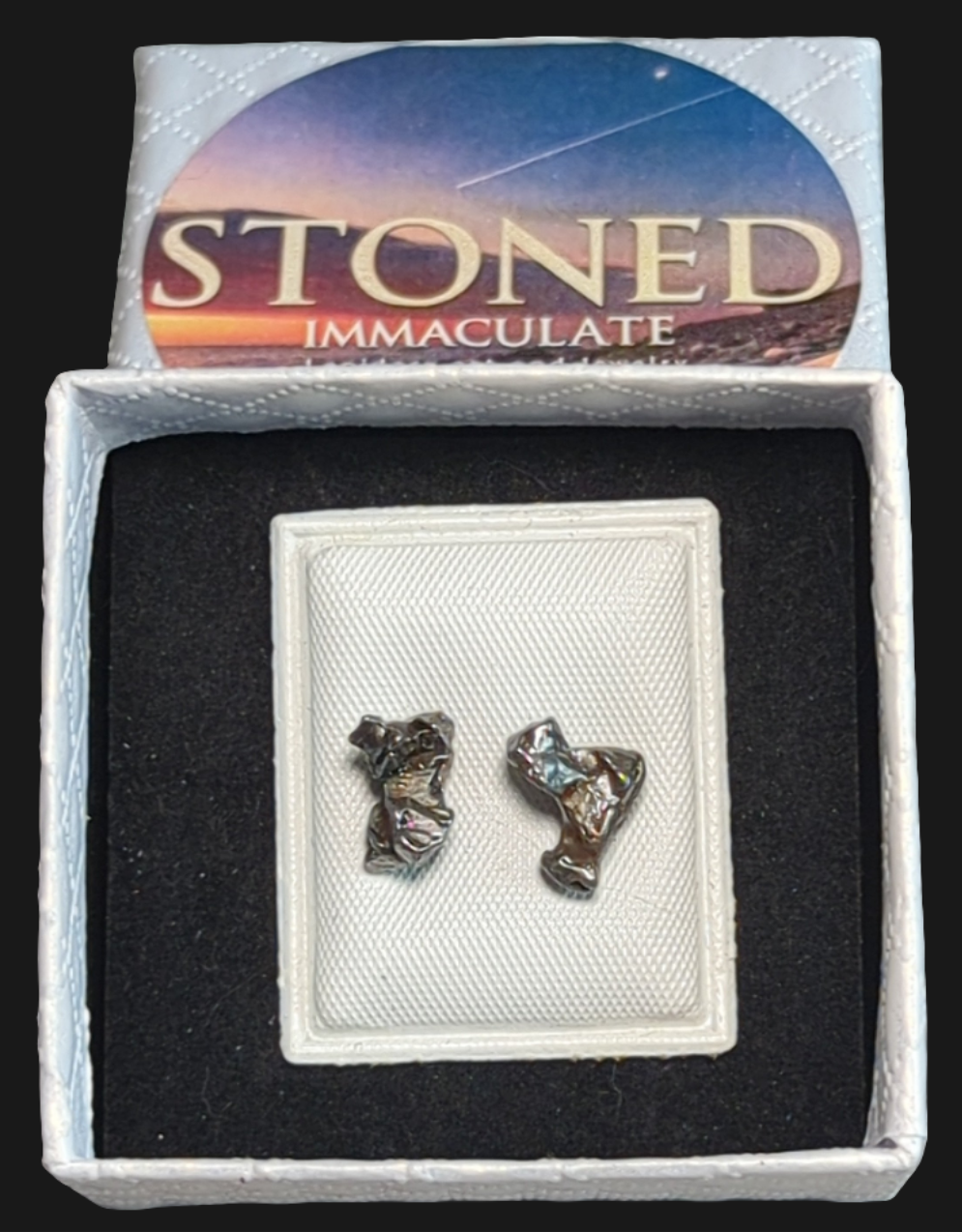 Campo del Cielo Meteorite Earrings