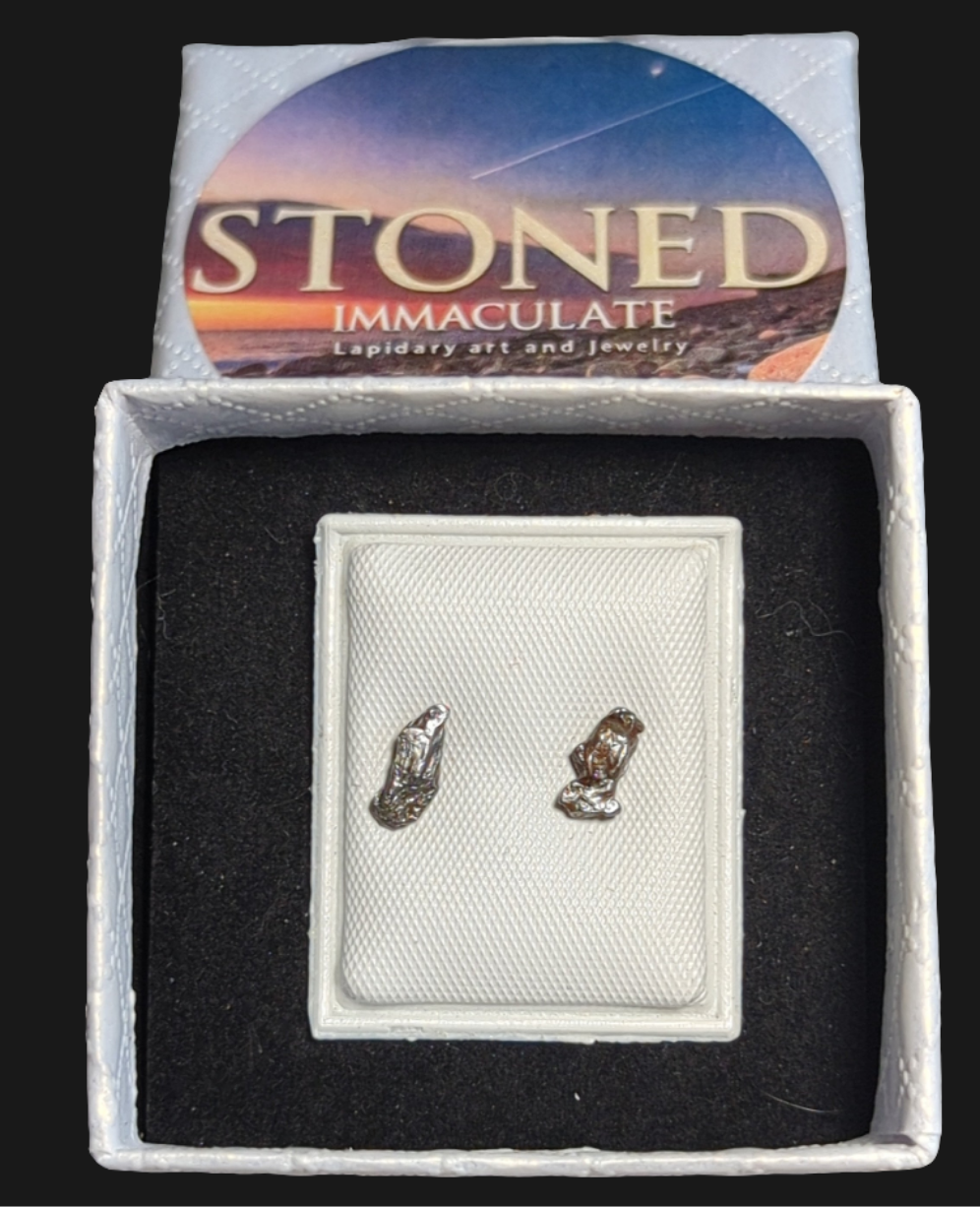 Campo del Cielo Meteorite Earrings