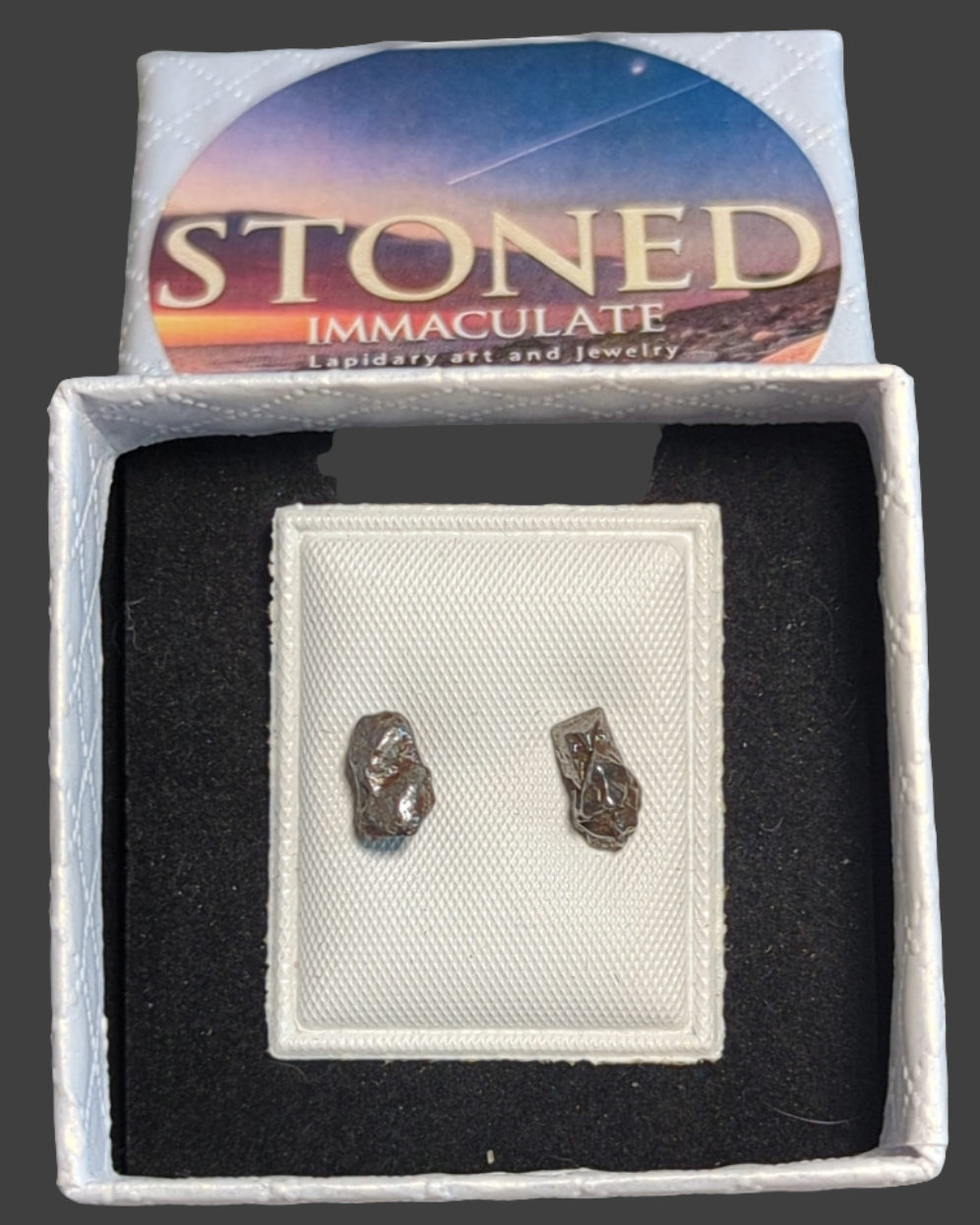 Campo del Cielo Meteorite Earrings