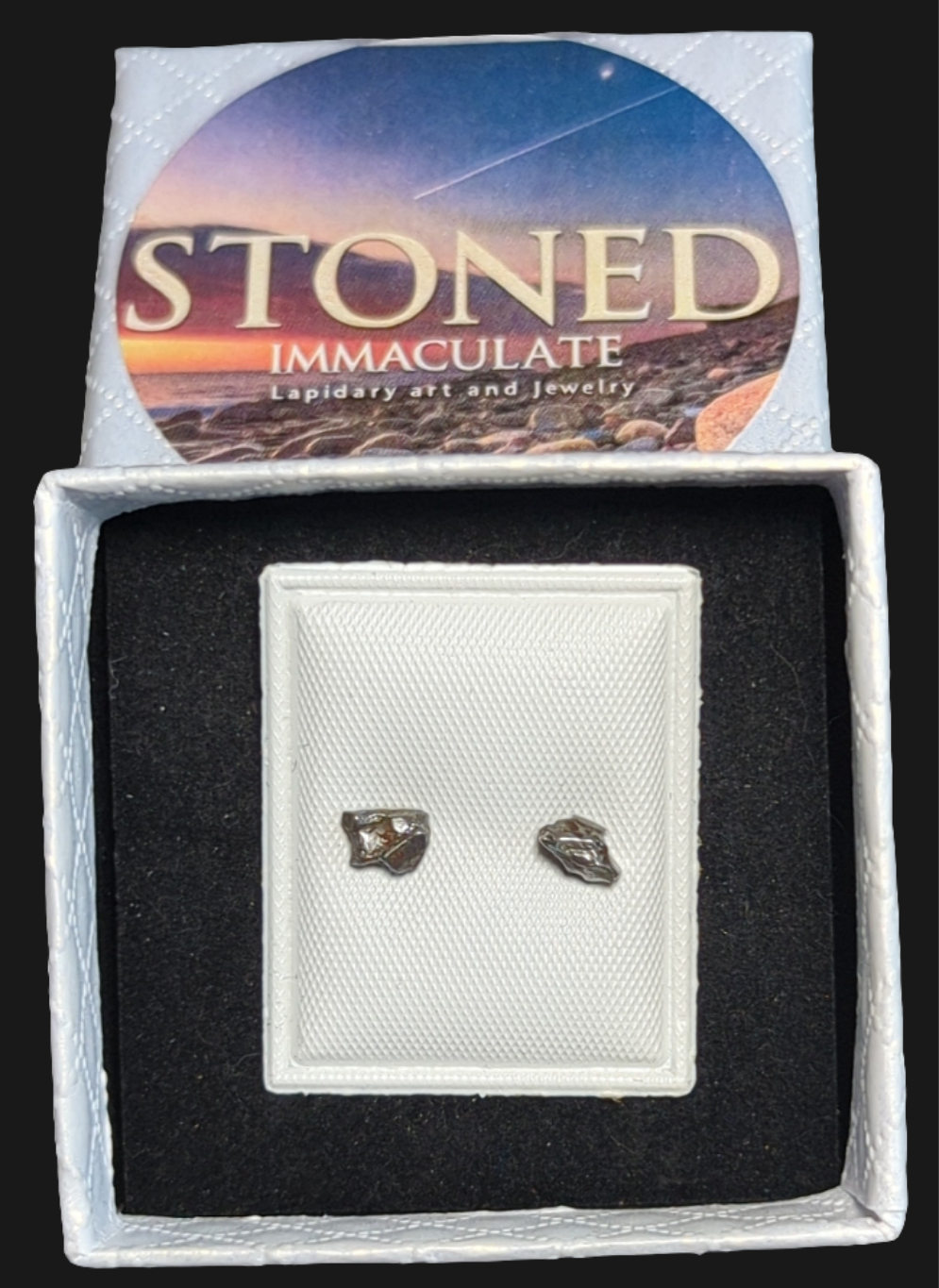 Campo del Cielo Meteorite Earrings
