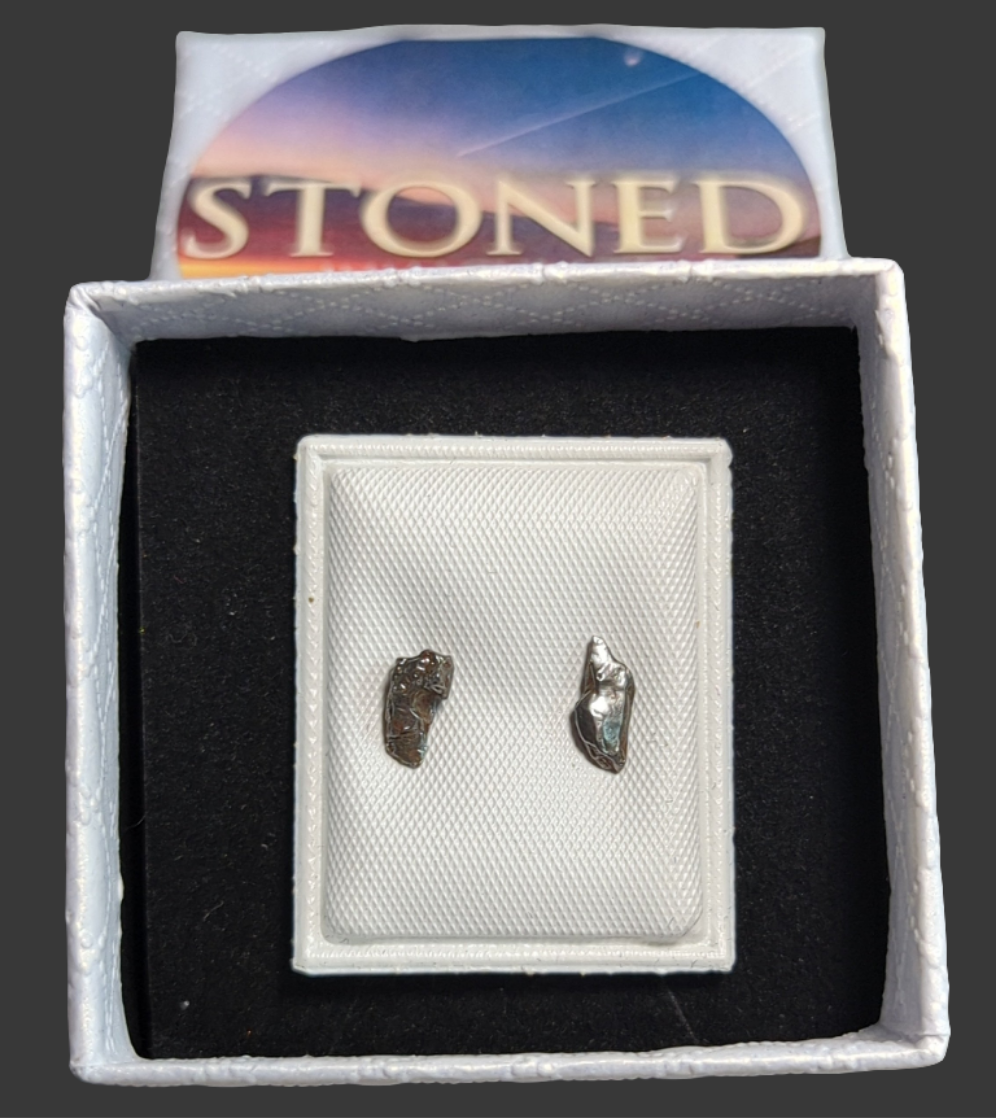 Campo del Cielo Meteorite Earrings