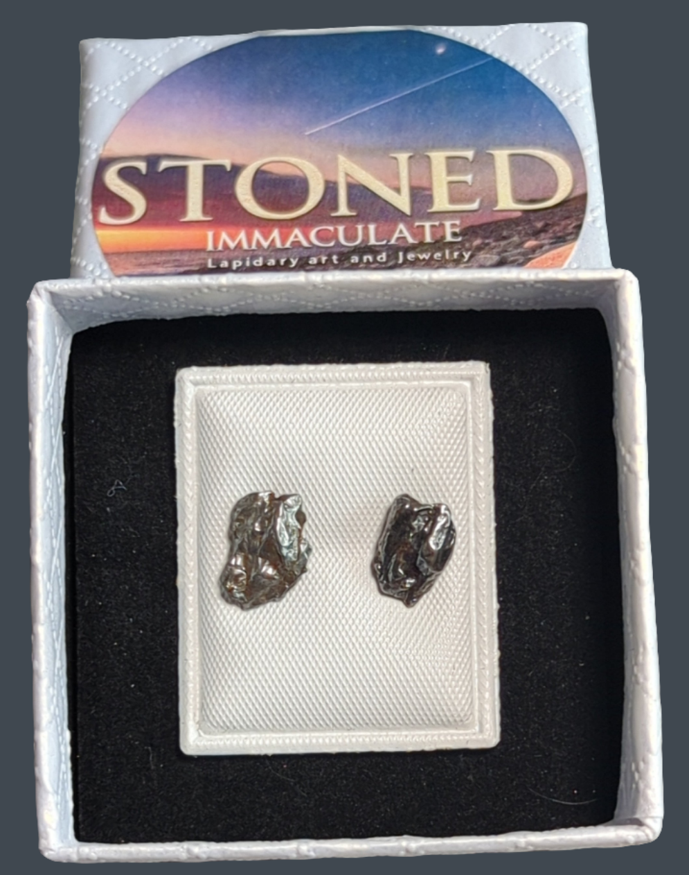 Campo del Cielo Meteorite Earrings