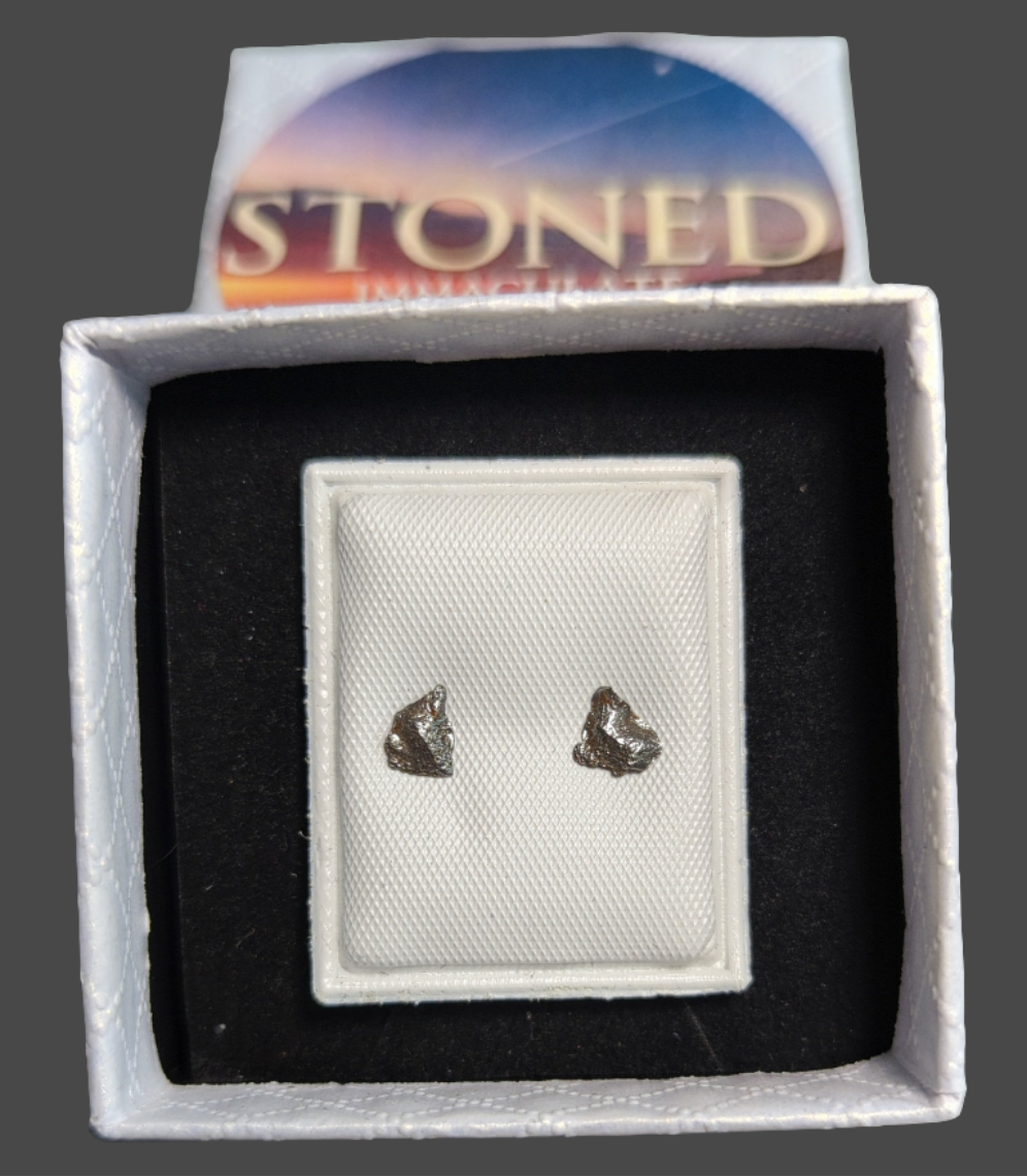 Campo del Cielo Meteorite Earrings