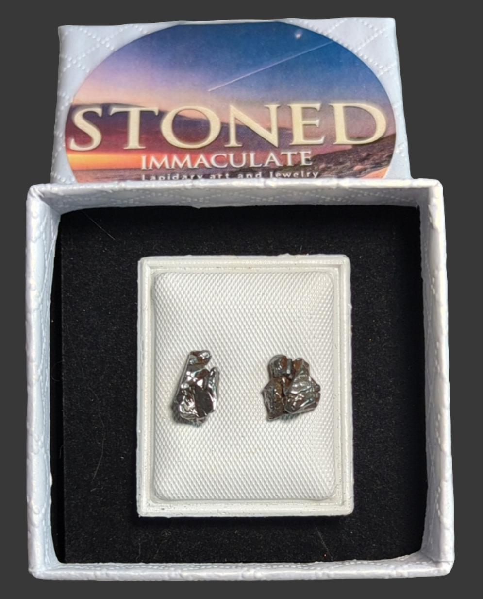 Campo del Cielo Meteorite Earrings