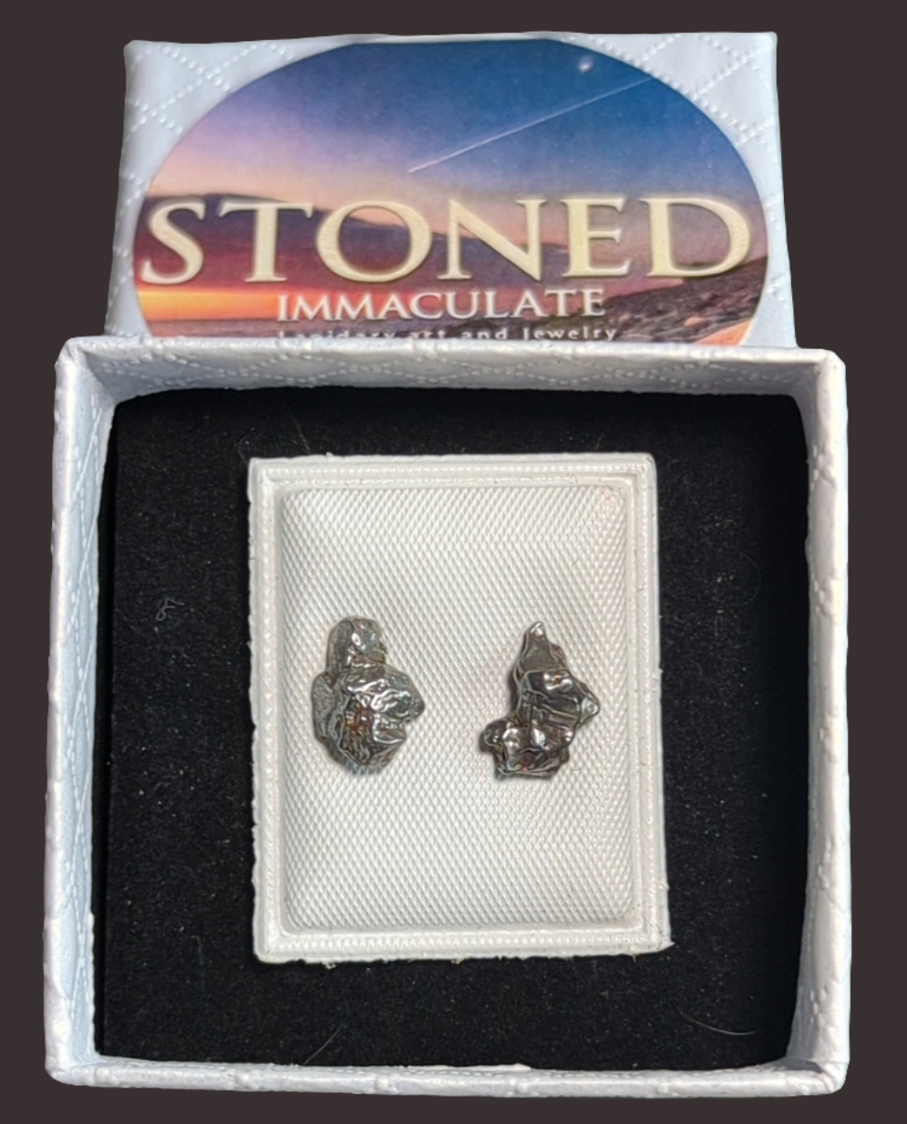 Campo del Cielo Meteorite Earrings