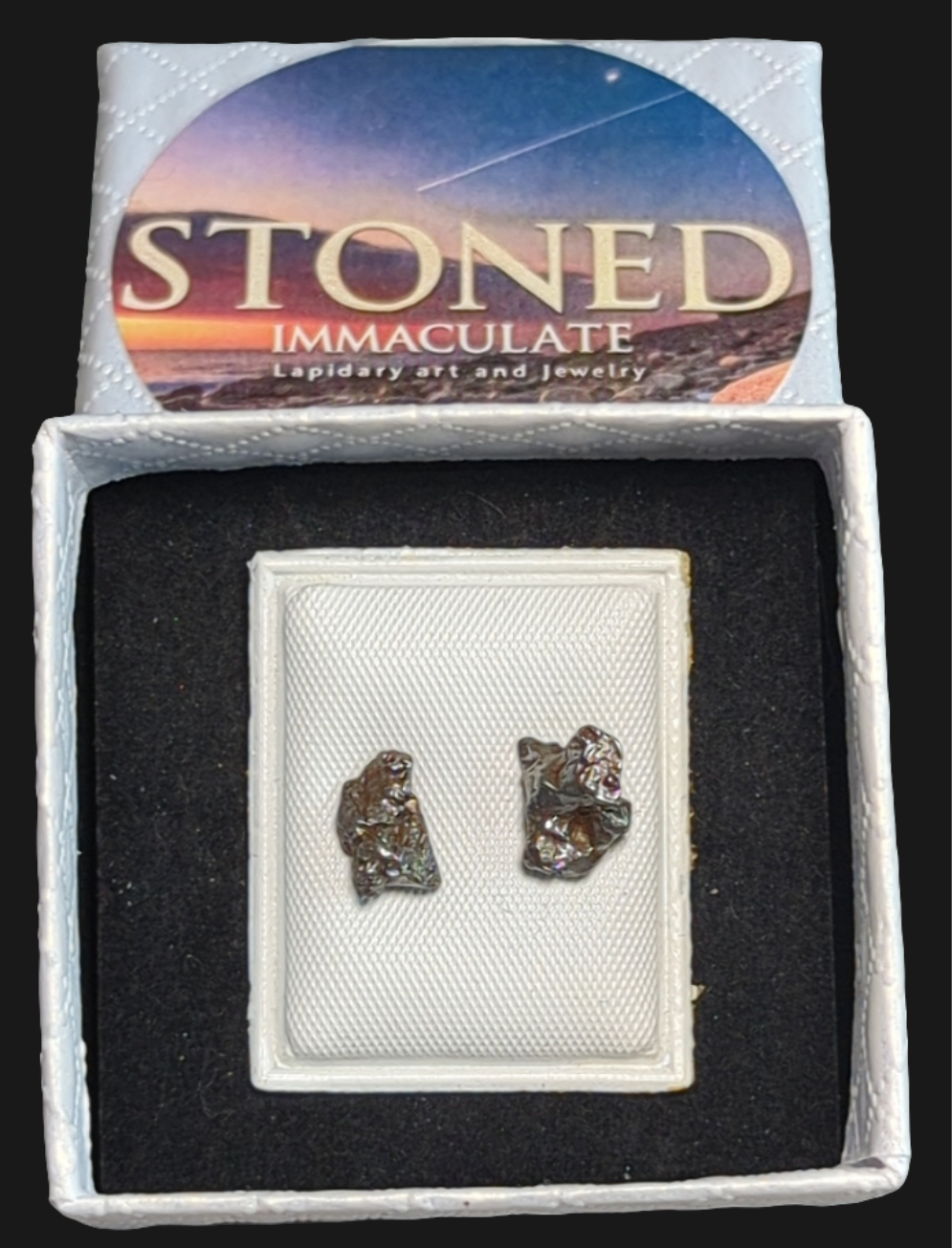 Campo del Cielo Meteorite Earrings