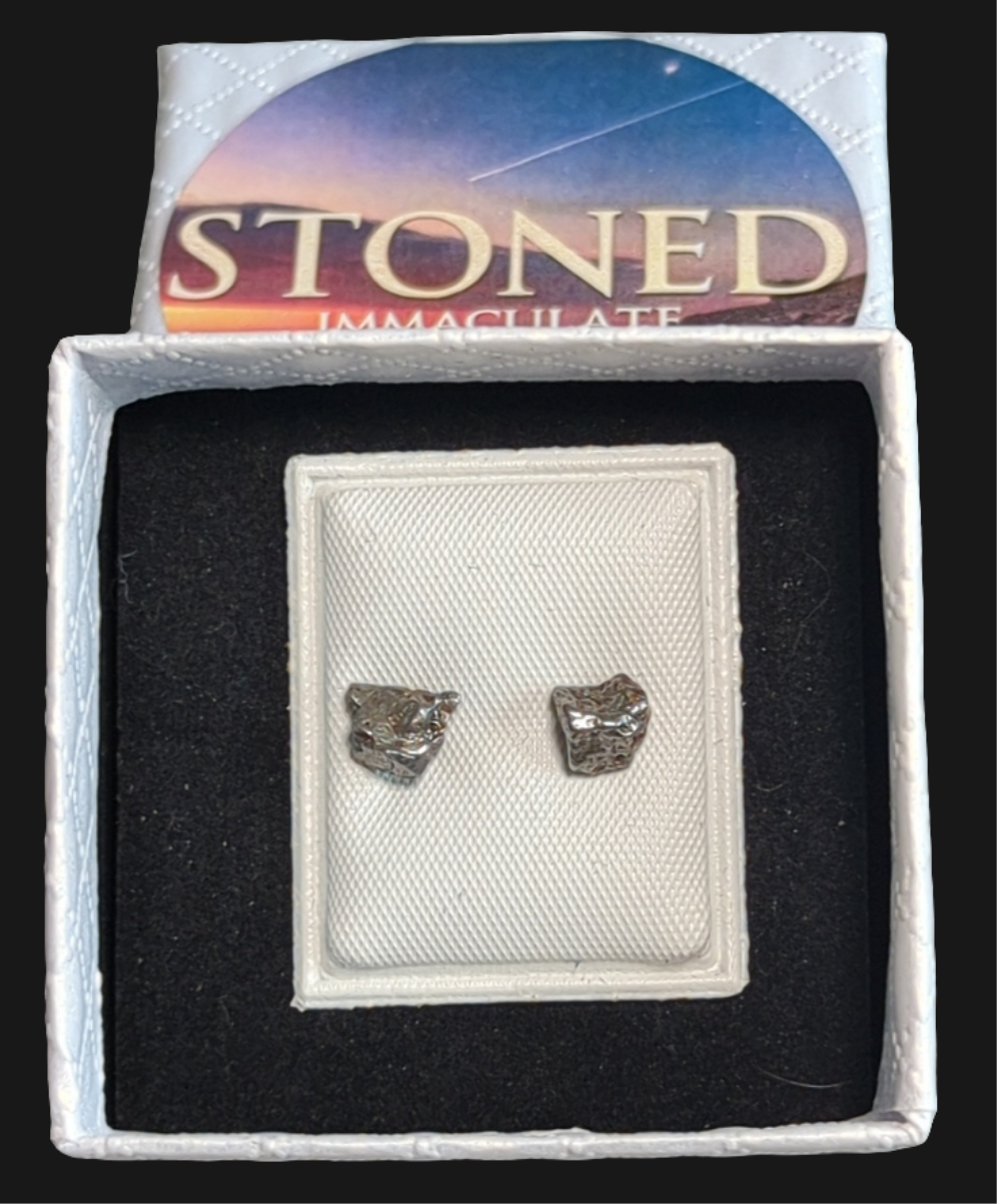 Campo del Cielo Meteorite Earrings