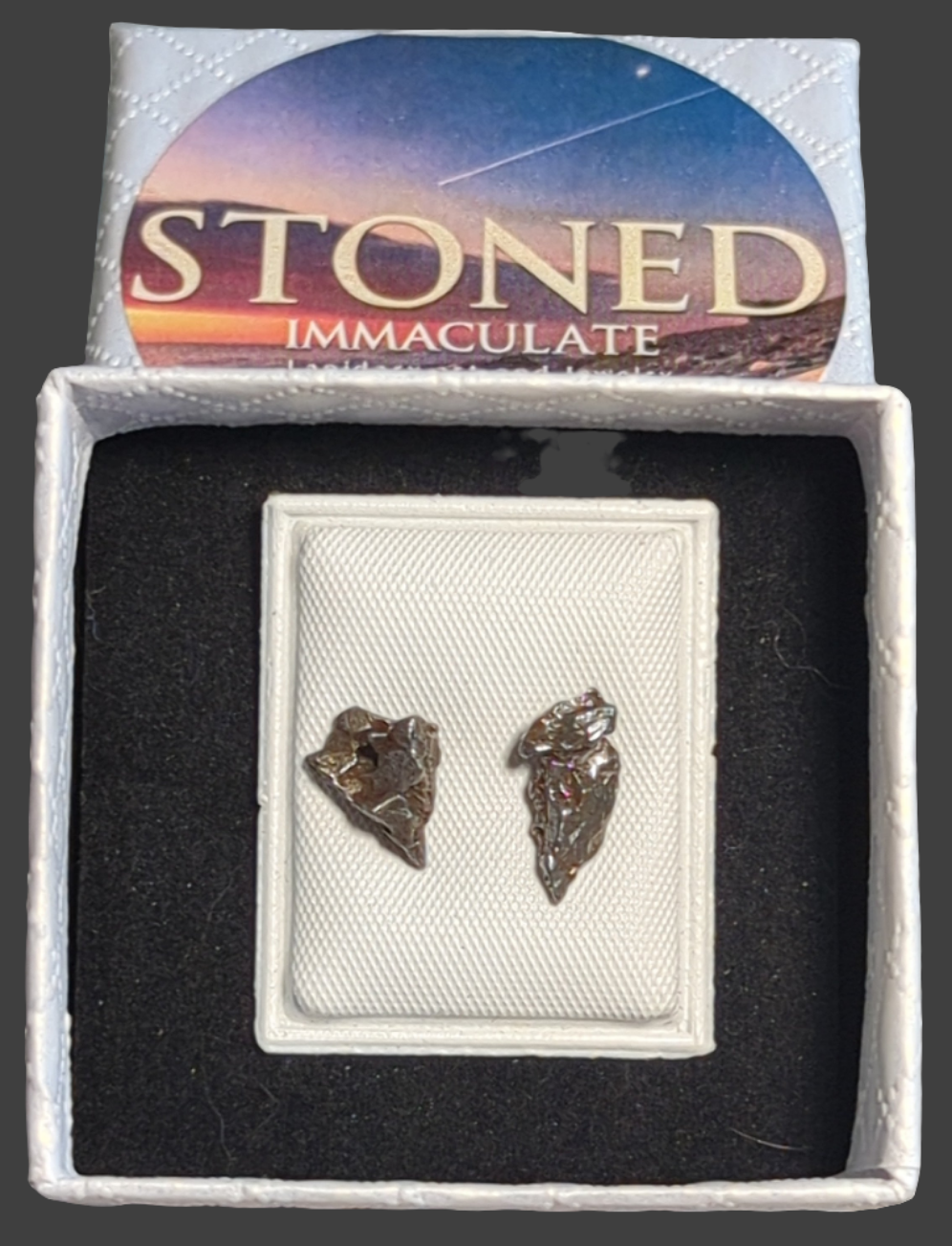 Campo del Cielo Meteorite Earrings