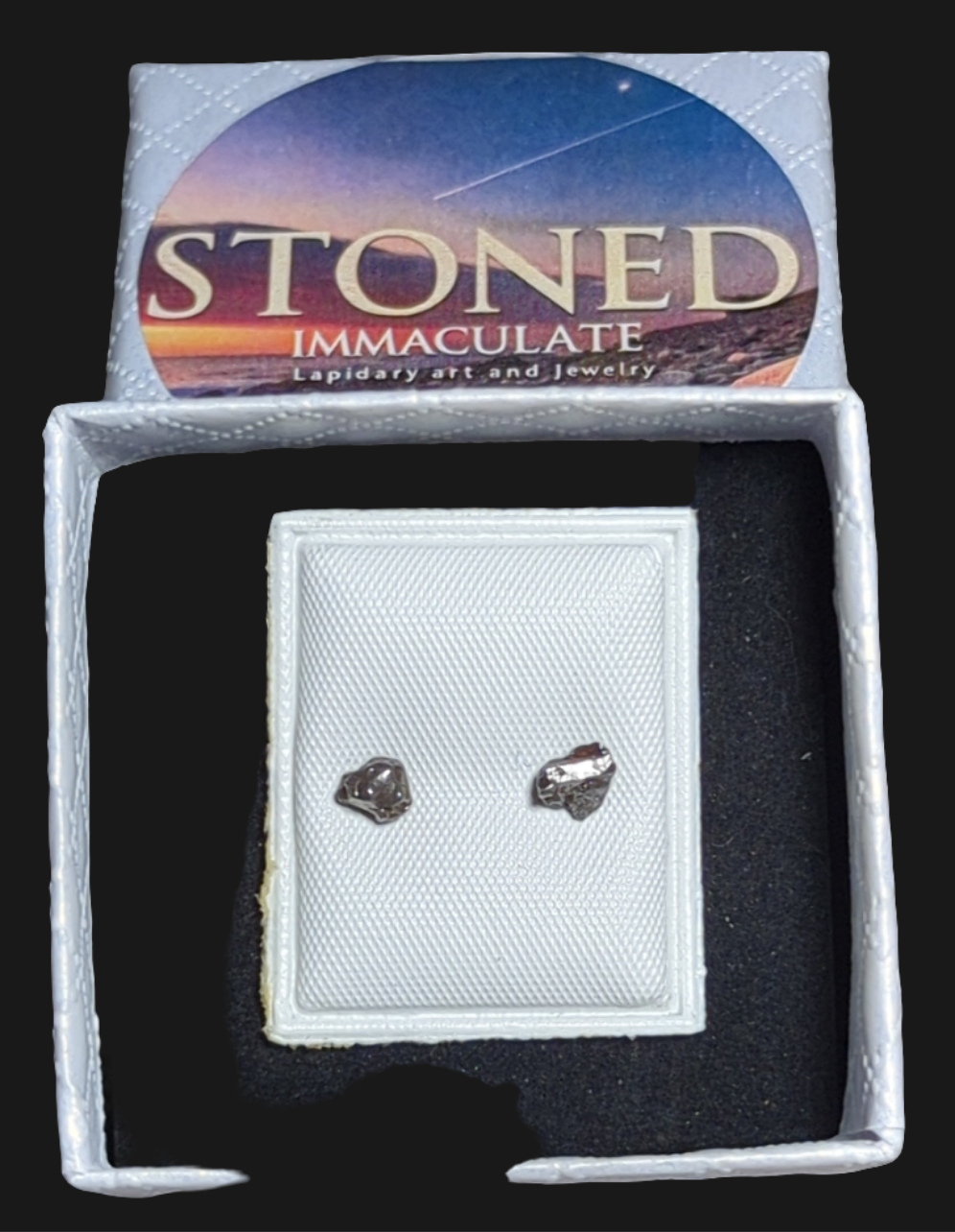 Campo del Cielo Meteorite Earrings