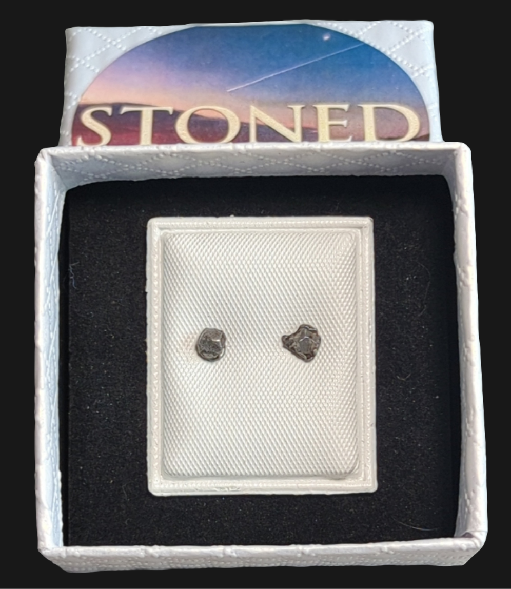 Campo del Cielo Meteorite Earrings