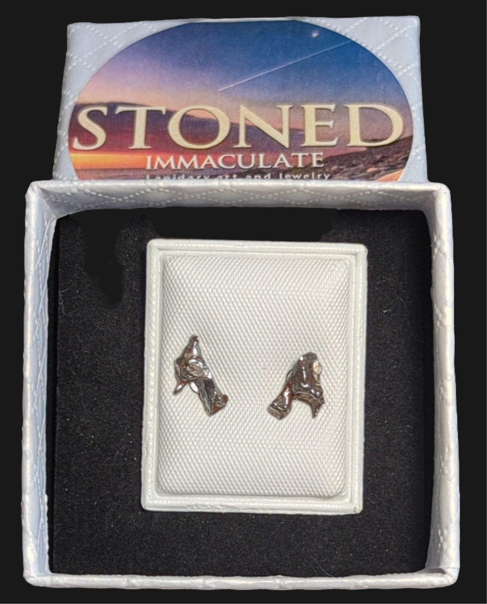 Campo del Cielo Meteorite Earrings
