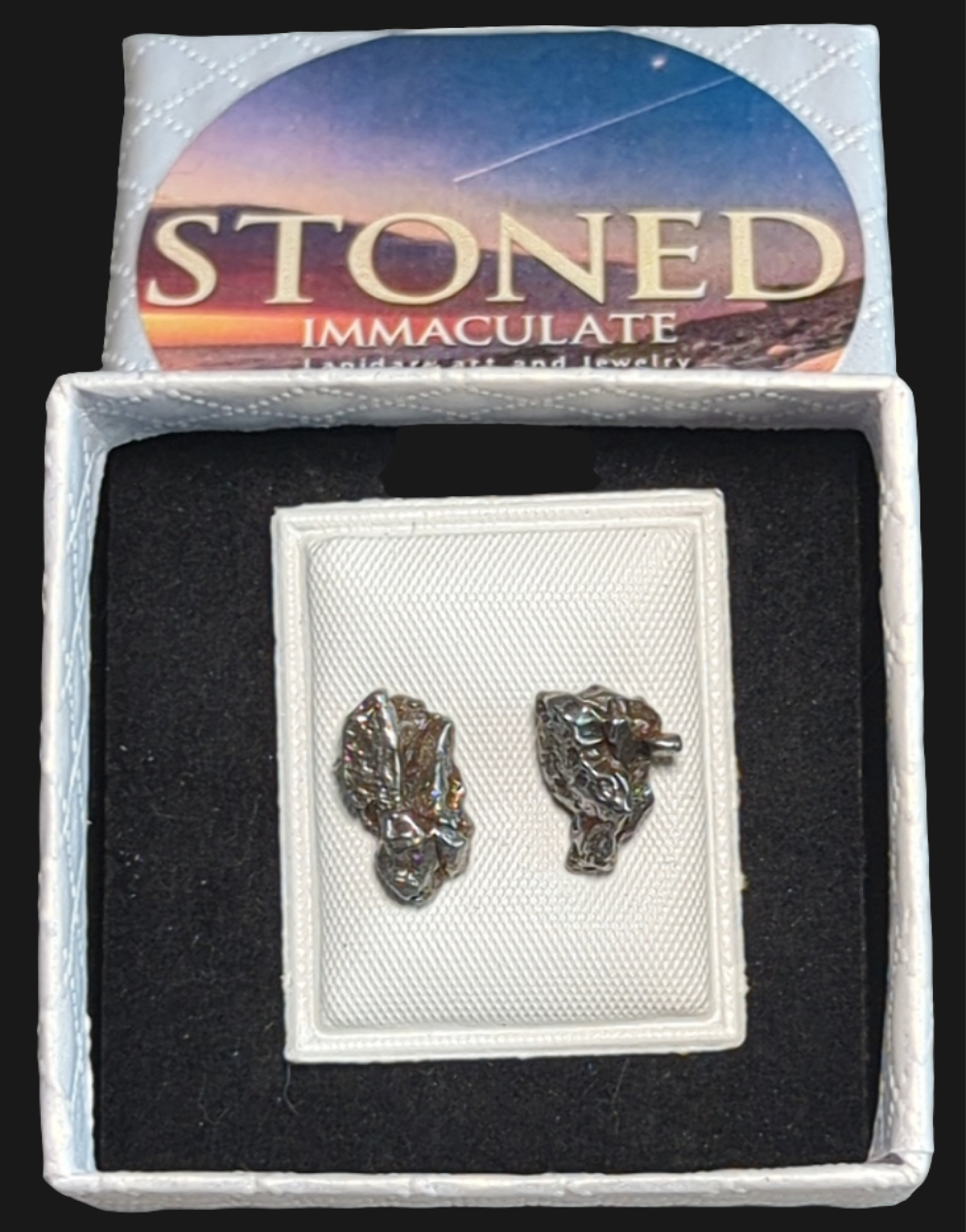 Campo del Cielo Meteorite Earrings