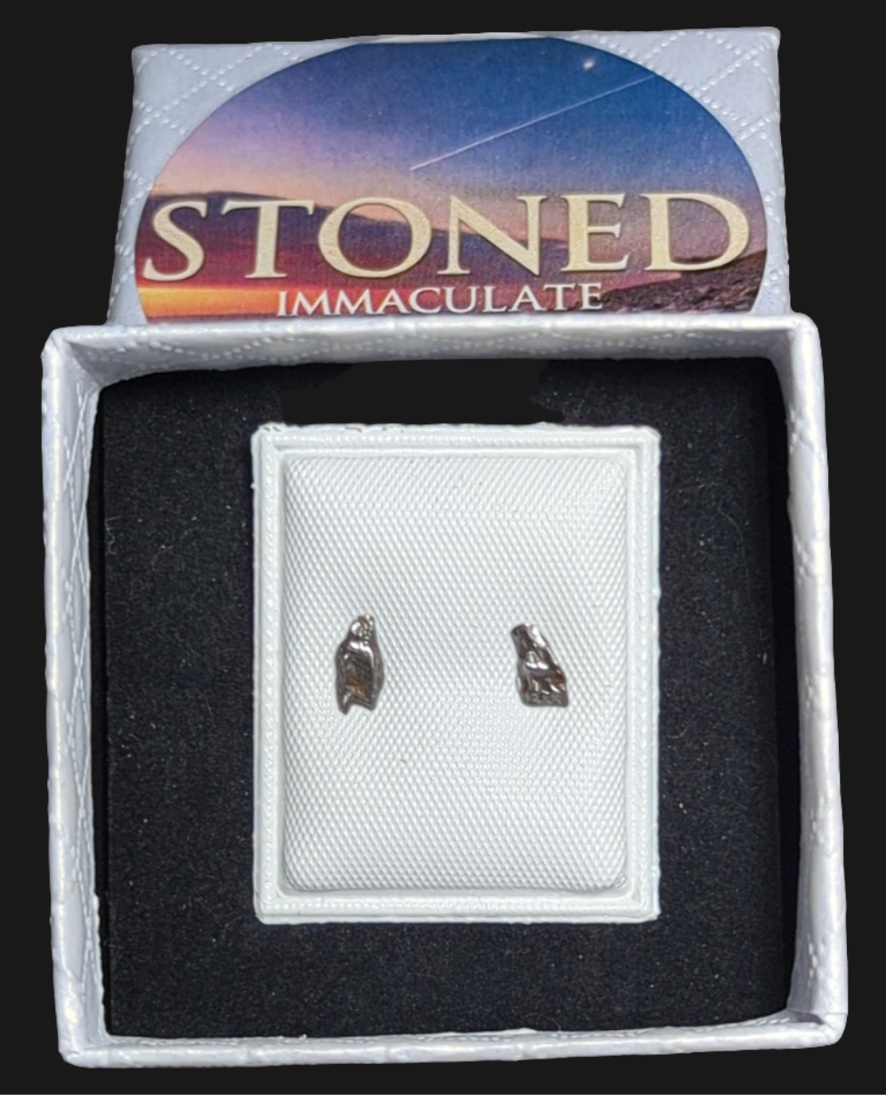 Campo del Cielo Meteorite Earrings