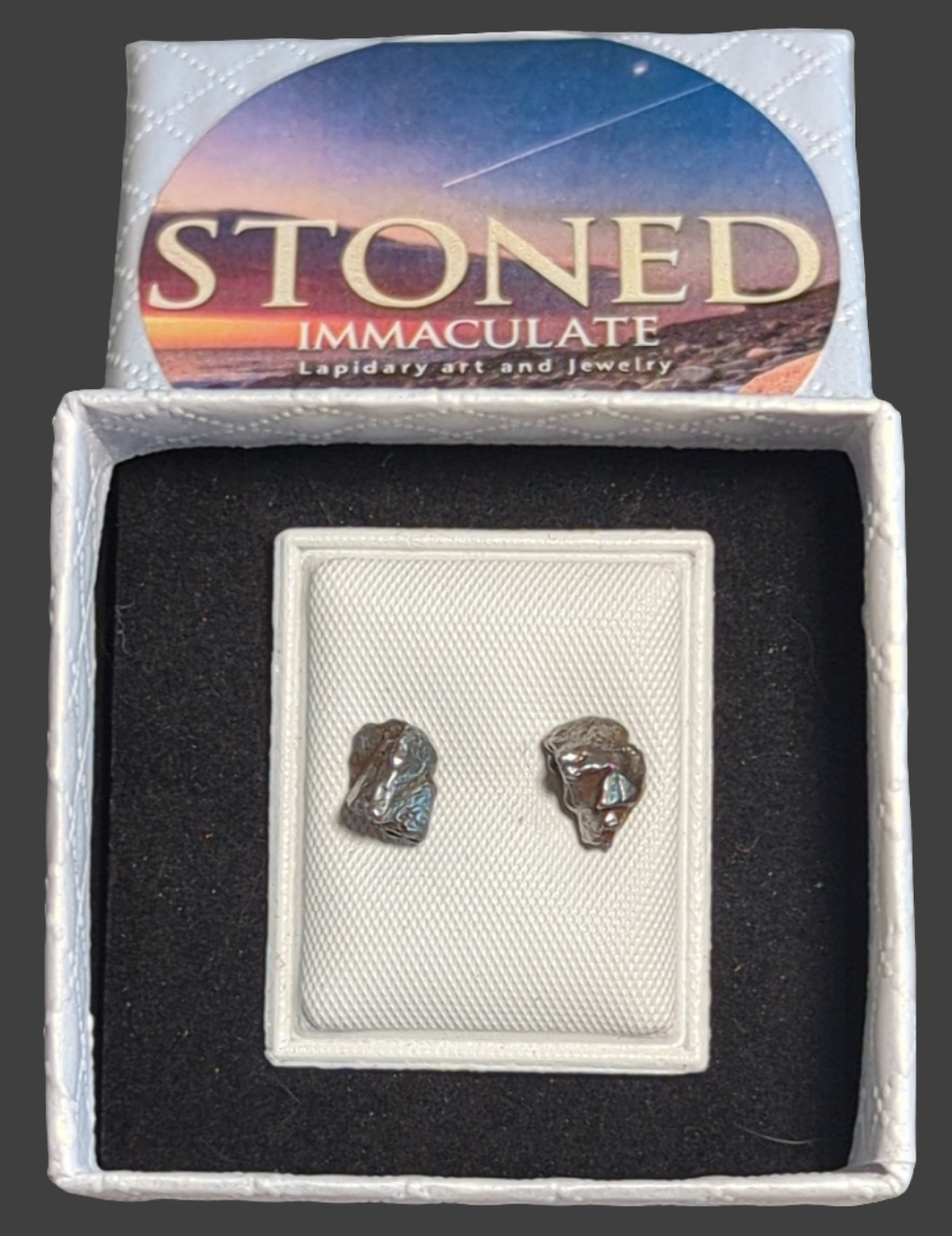 Campo del Cielo Meteorite Earrings