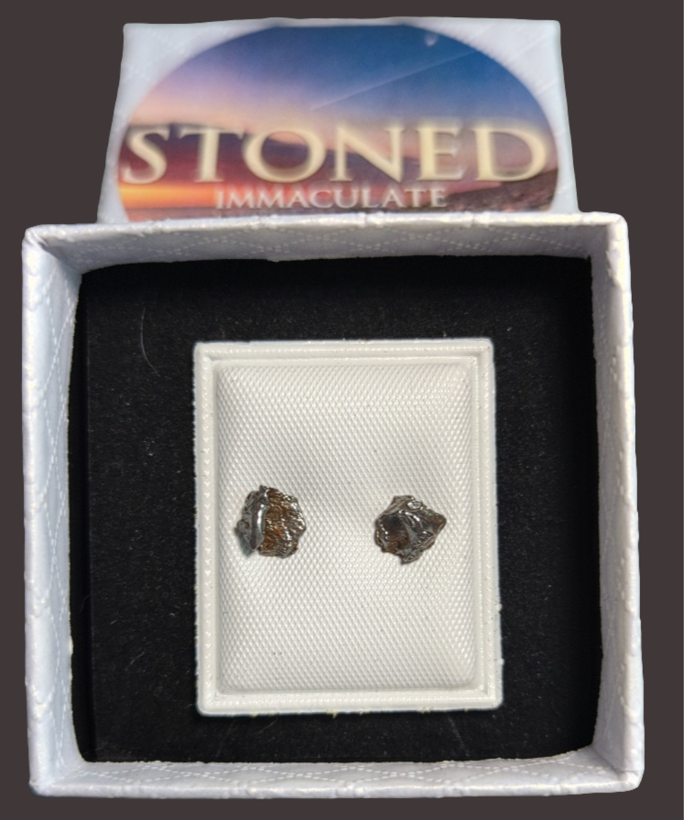 Campo del Cielo Meteorite Earrings