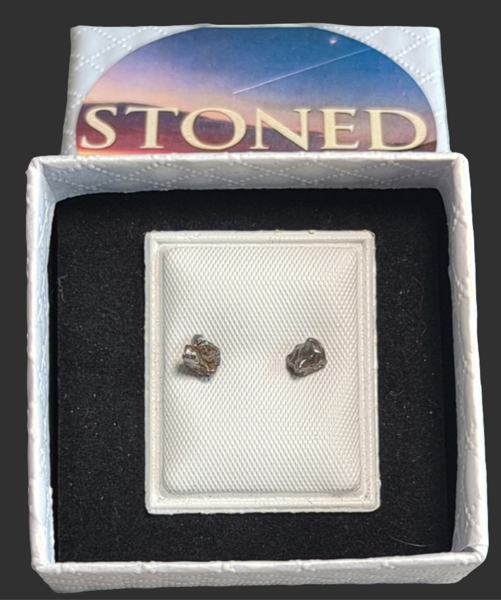 Campo del Cielo Meteorite Earrings