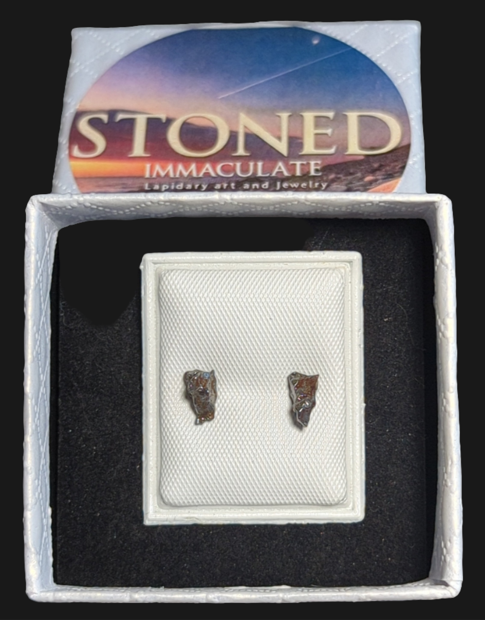 Campo del Cielo Meteorite Earrings