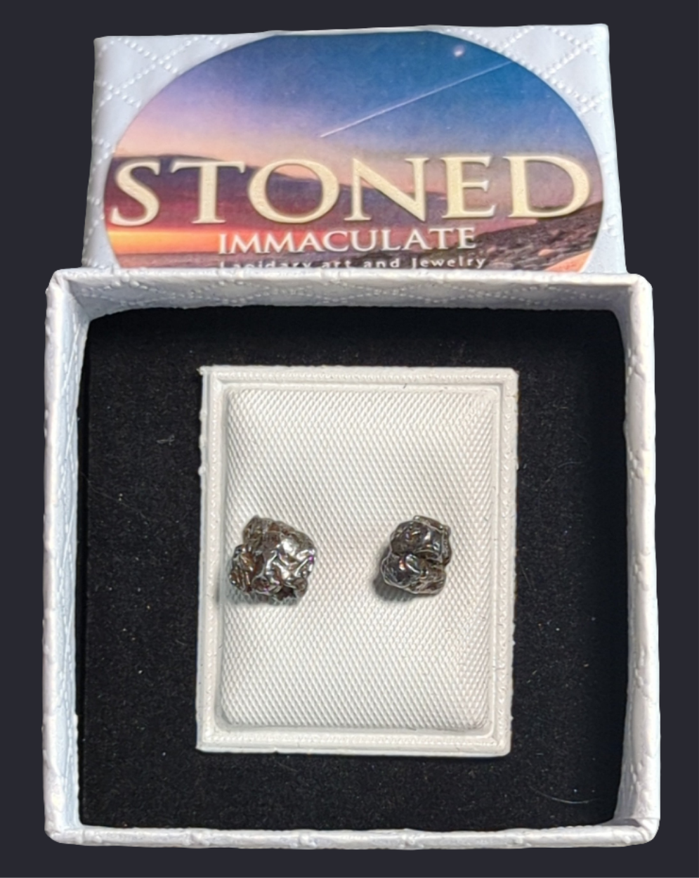 Campo del Cielo Meteorite Earrings