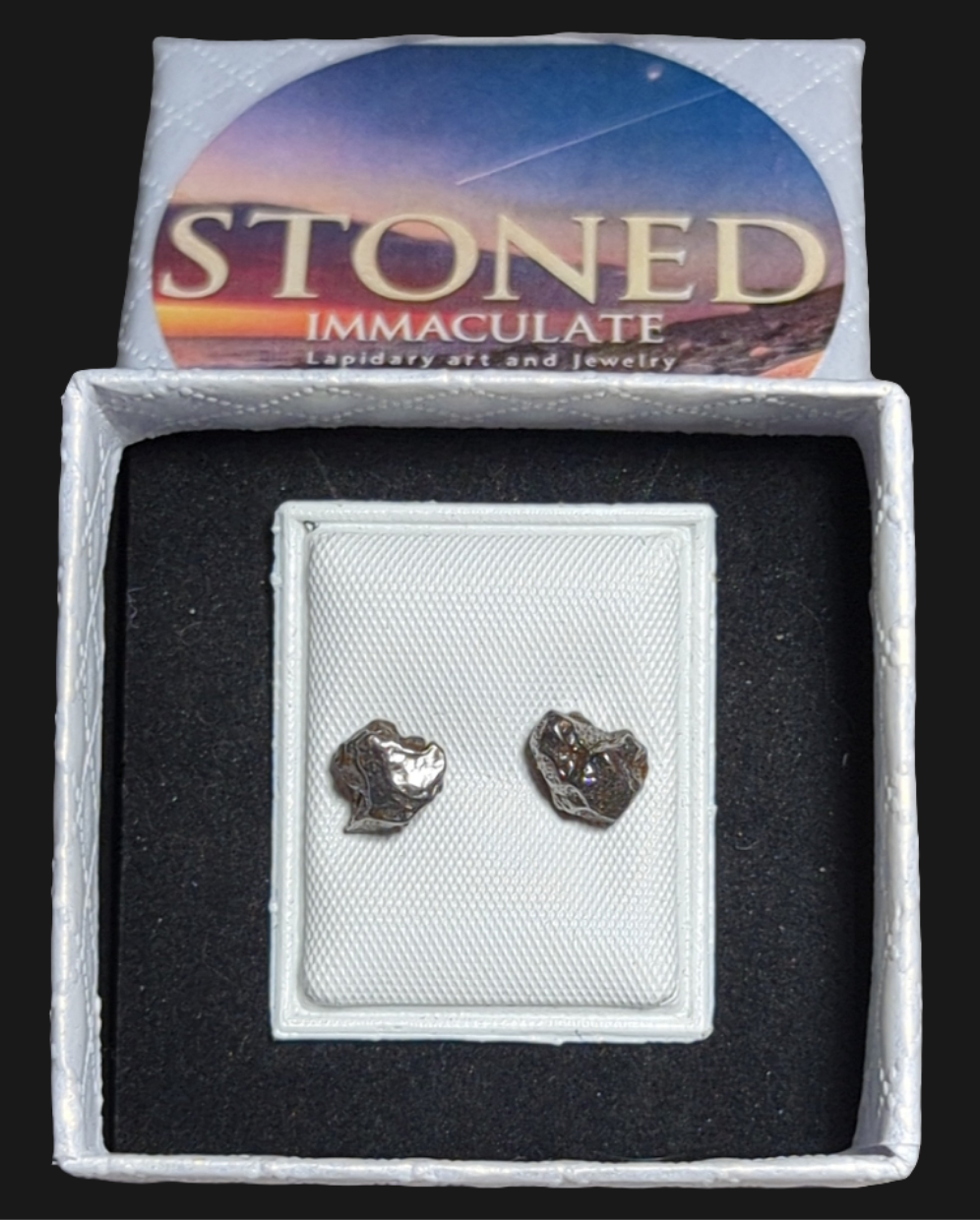 Campo del Cielo Meteorite Earrings