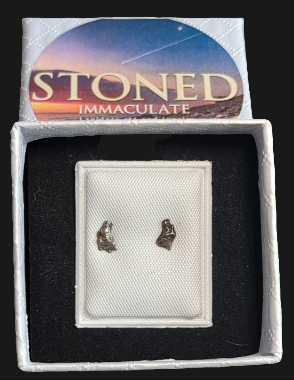 Campo del Cielo Meteorite Earrings