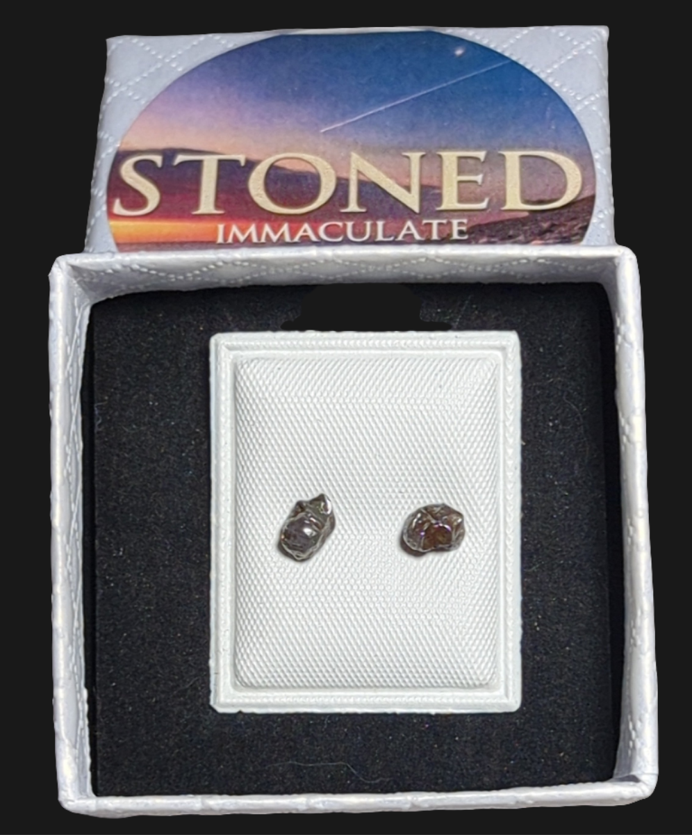 Campo del Cielo Meteorite Earrings