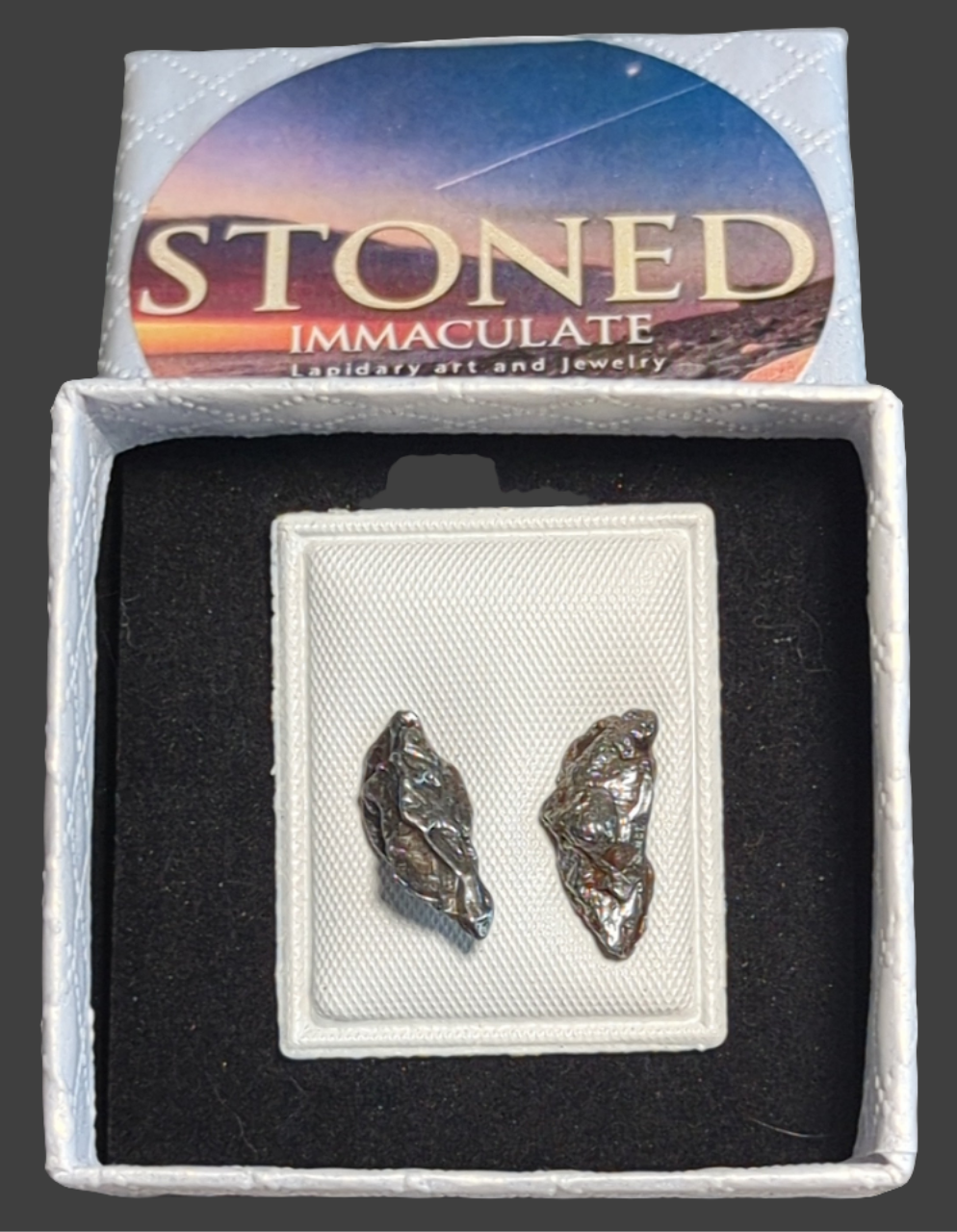 Campo del Cielo Meteorite Earrings