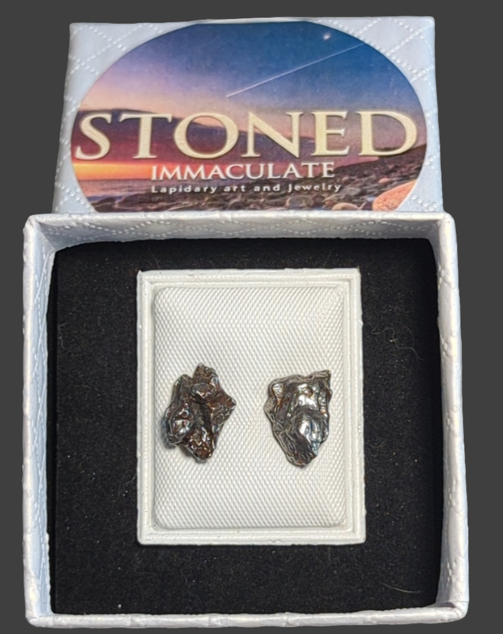 Campo del Cielo Meteorite Earrings