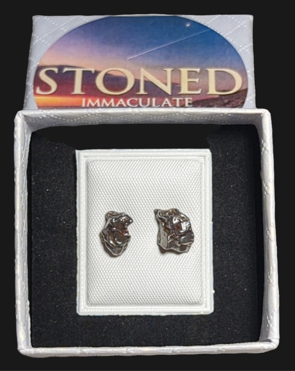 Campo del Cielo Meteorite Earrings