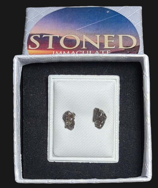 Astral Campo del Cielo Meteorite Earrings