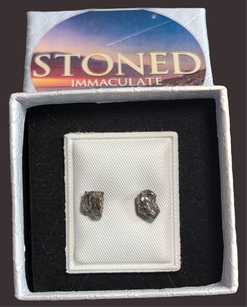 Campo del Cielo Meteorite Earrings