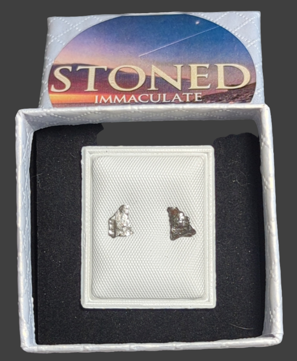 Campo del Cielo Meteorite Earrings