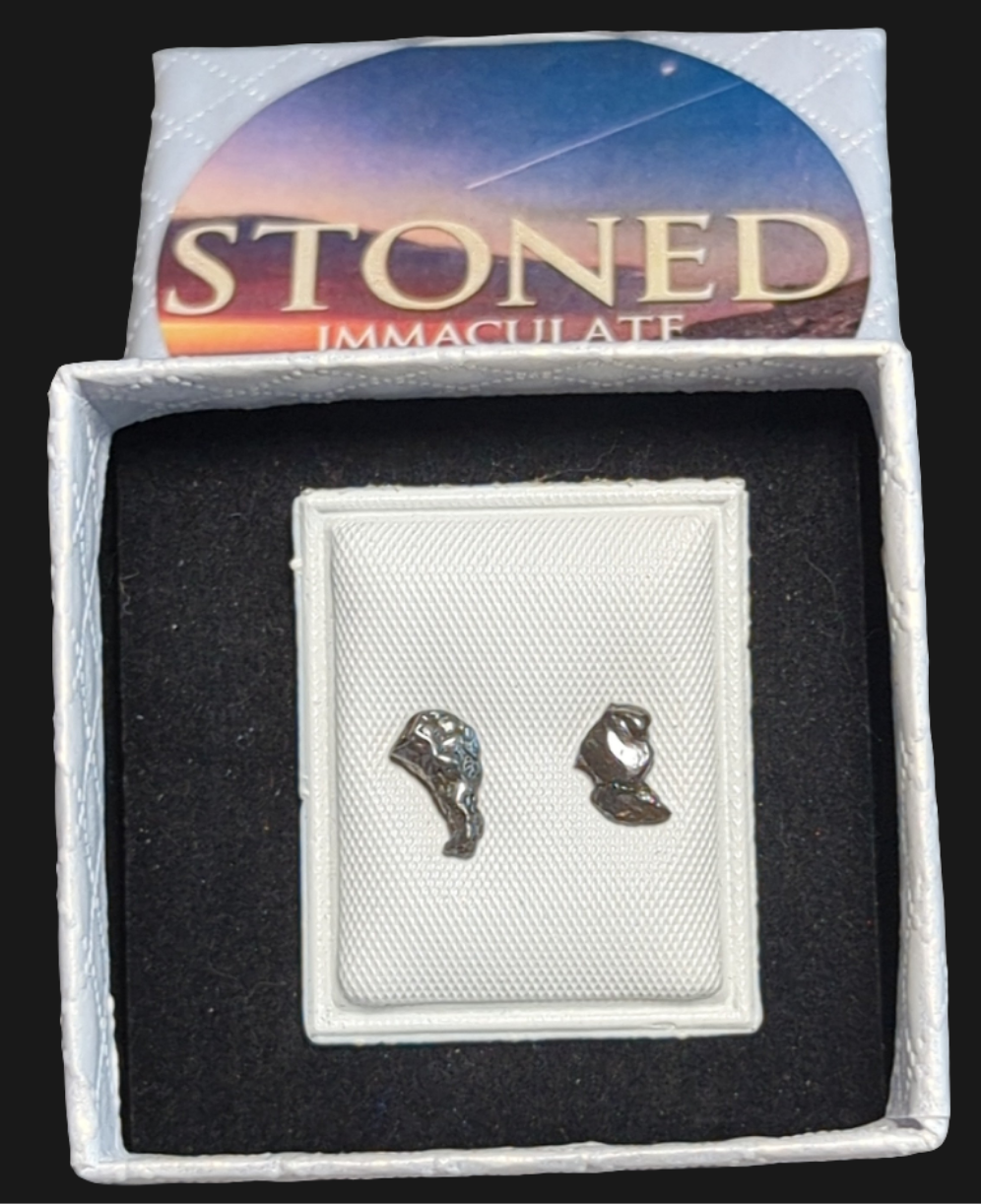 Campo del Cielo Meteorite Earrings