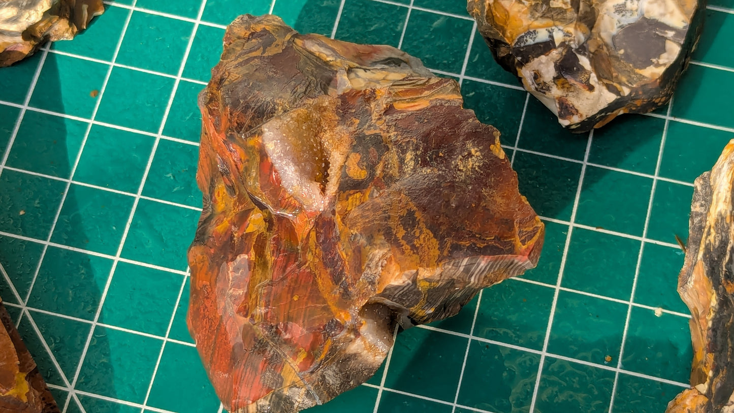 Medium Rainbow Flint - Raw Ohio Flint Ridge Flint Pieces