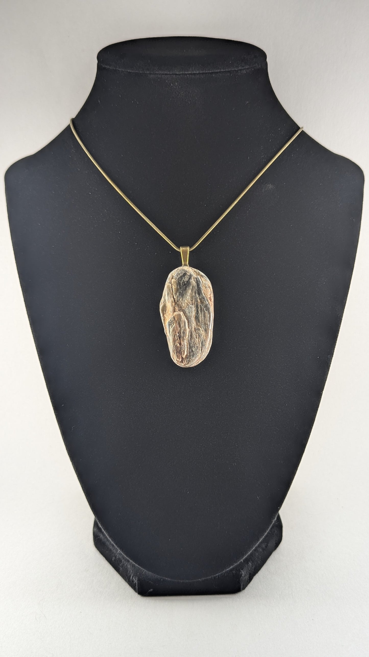 Ancient Coastline Petrified Wood Pendant
