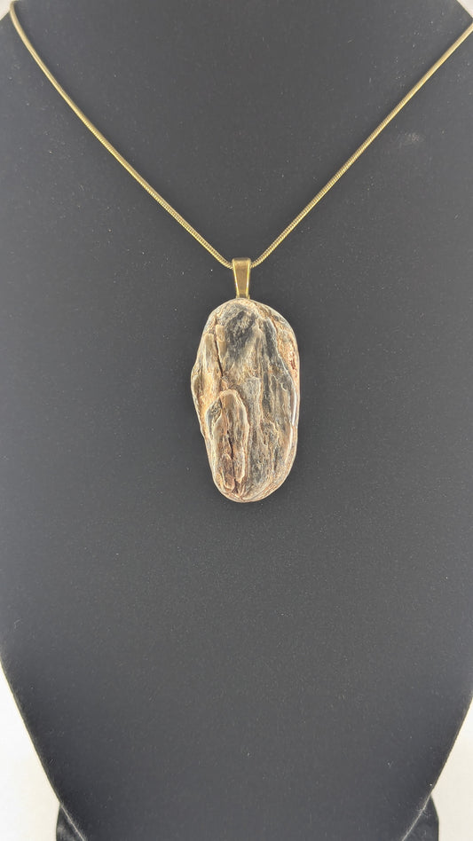 Ancient Coastline Petrified Wood Pendant
