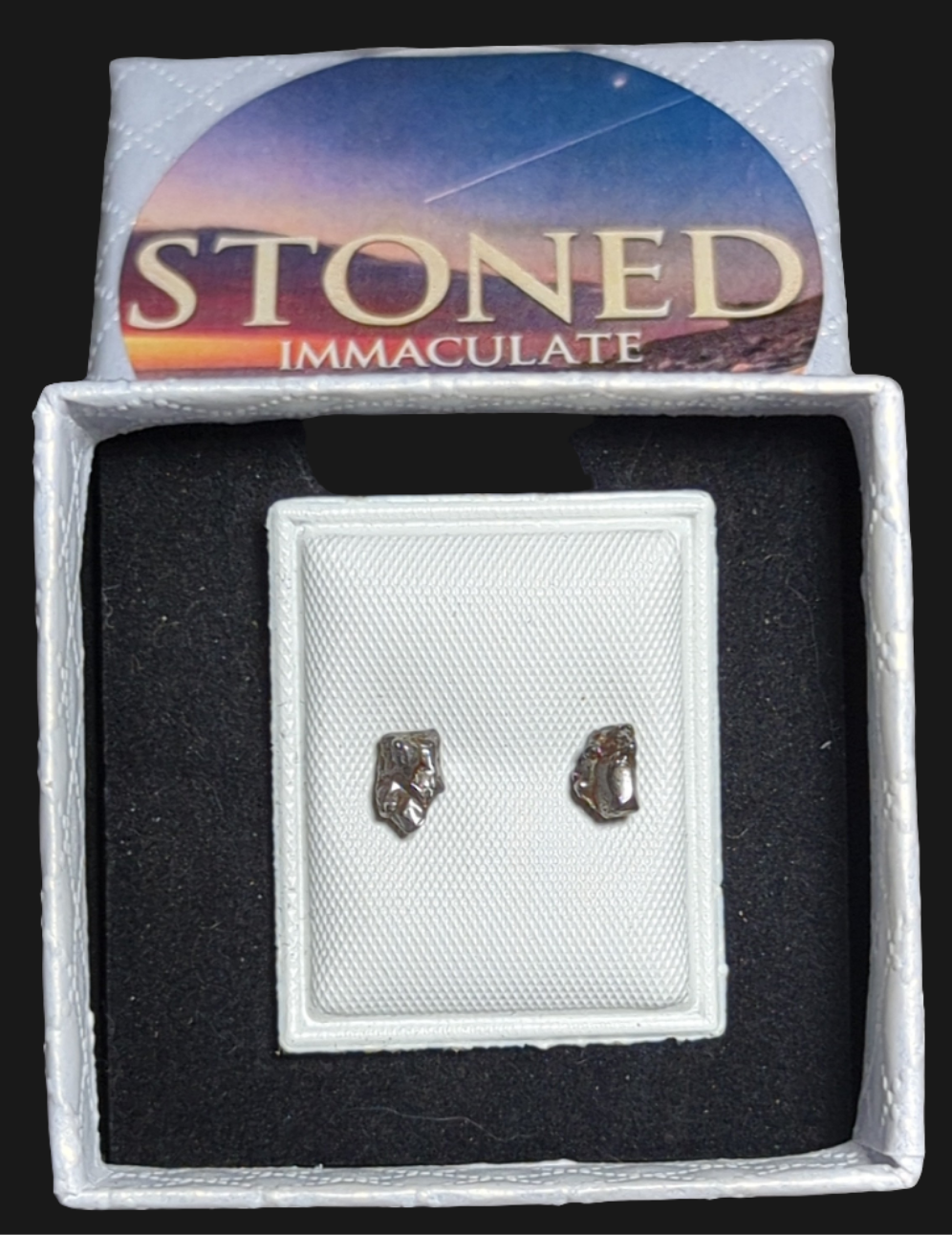 Campo del Cielo Meteorite Earrings