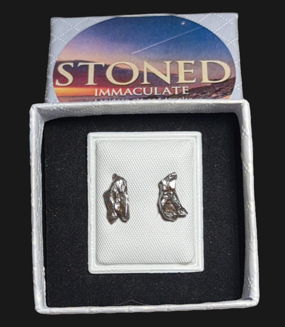 Campo del Cielo Meteorite Earrings