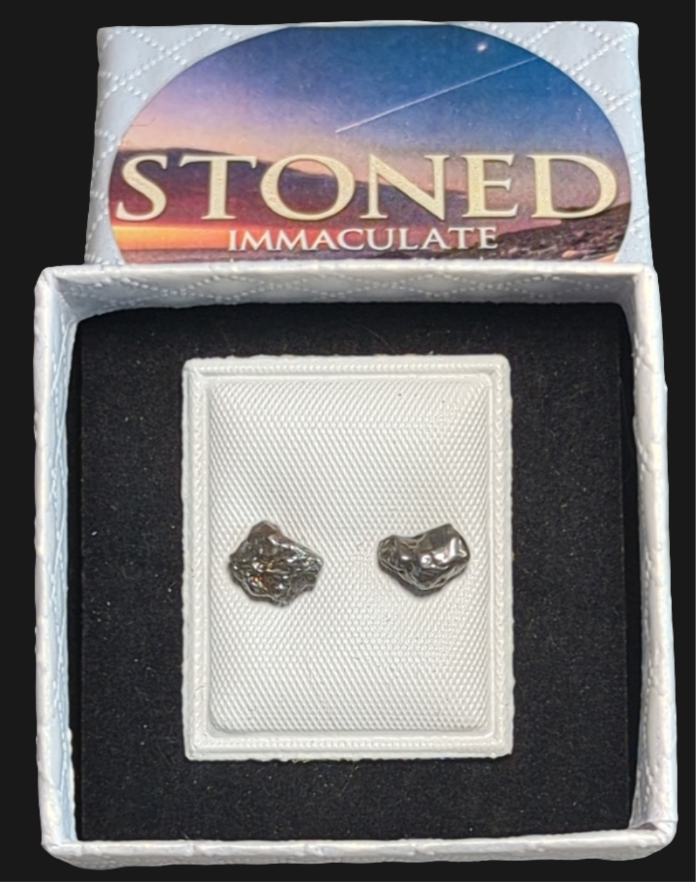 Campo del Cielo Meteorite Earrings