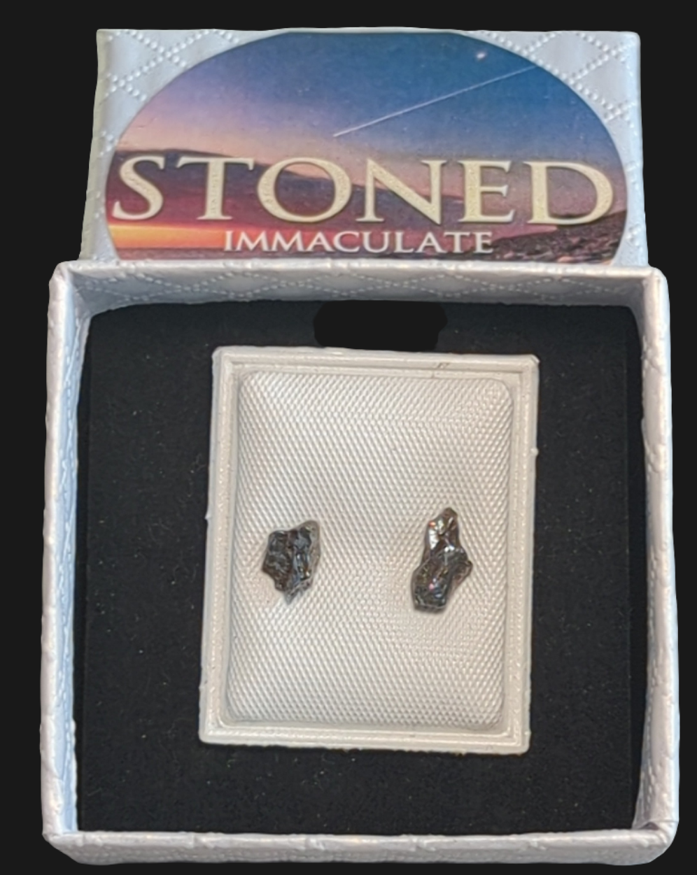 Campo del Cielo Meteorite Earrings