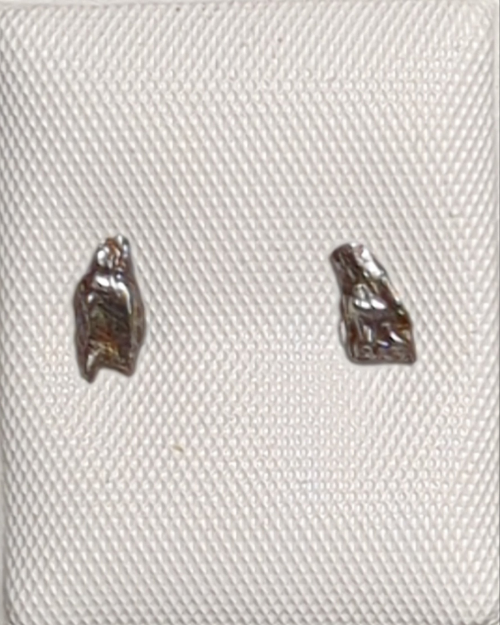 Campo del Cielo Meteorite Earrings
