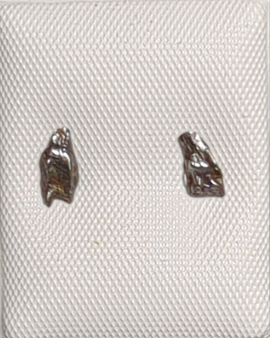 Campo del Cielo Meteorite Earrings