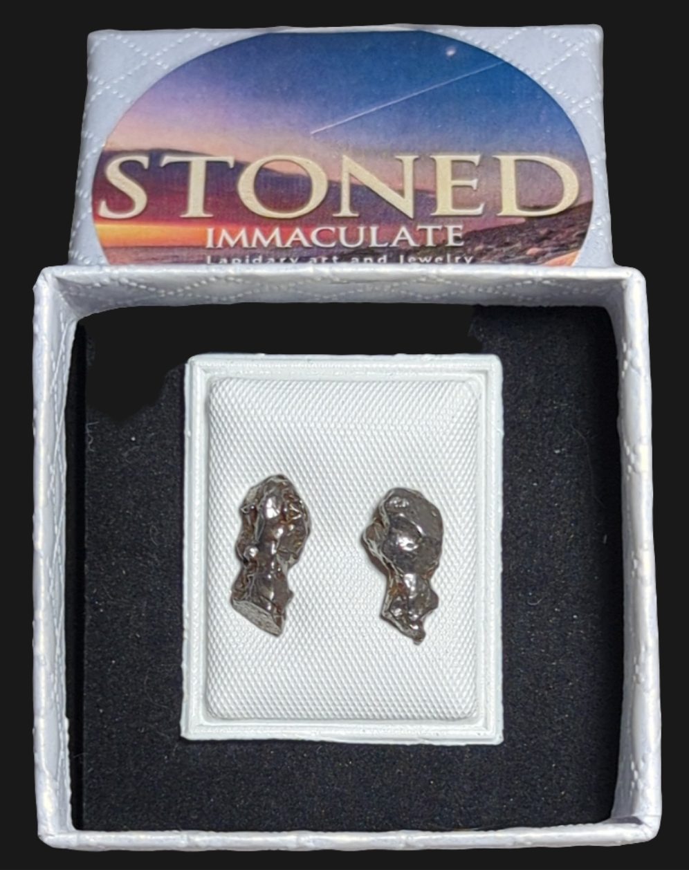 Campo del Cielo Meteorite Earrings