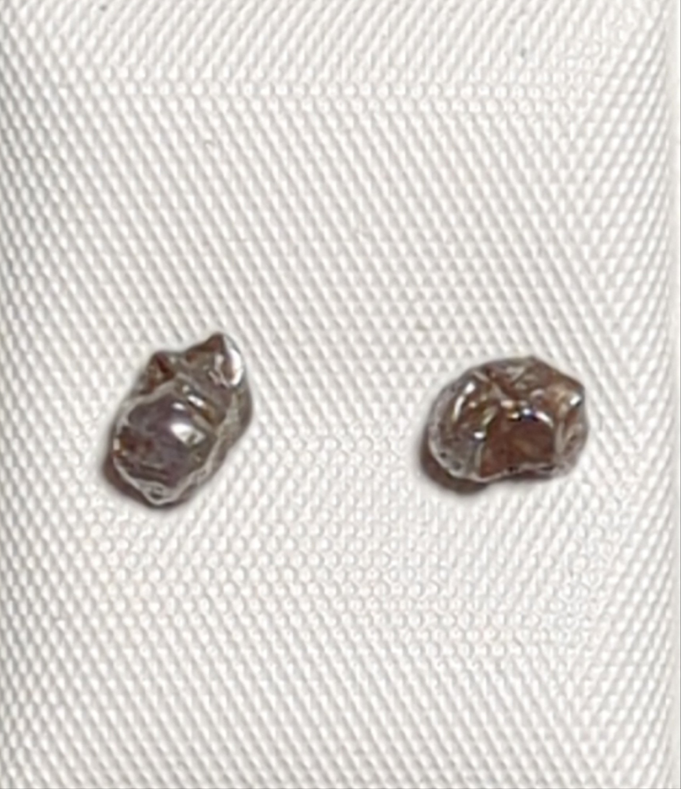 Campo del Cielo Meteorite Earrings