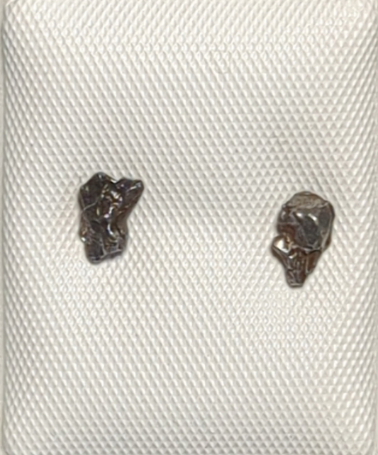 Campo del Cielo Meteorite Earrings