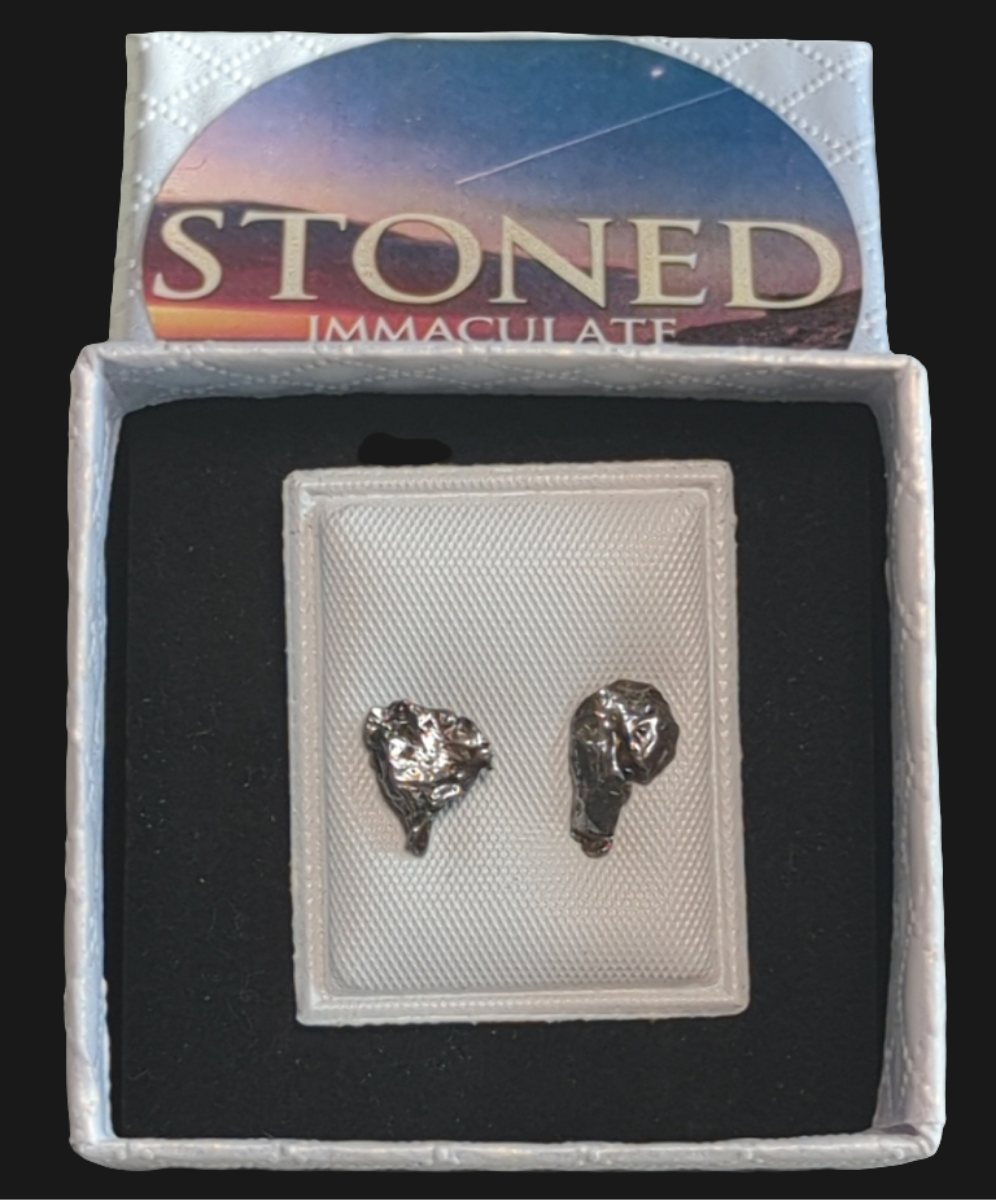 Campo del Cielo Meteorite Earrings