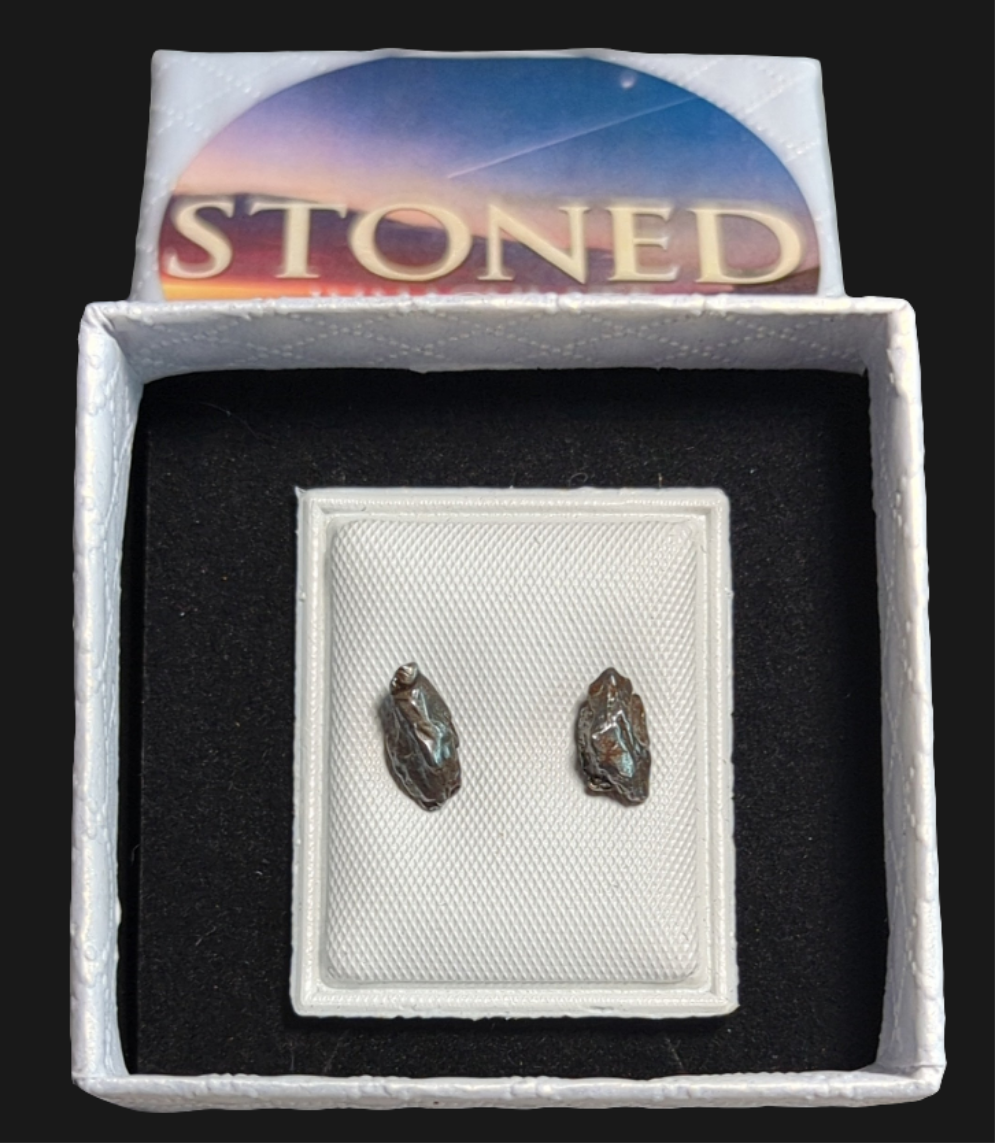 Campo del Cielo Meteorite Earrings