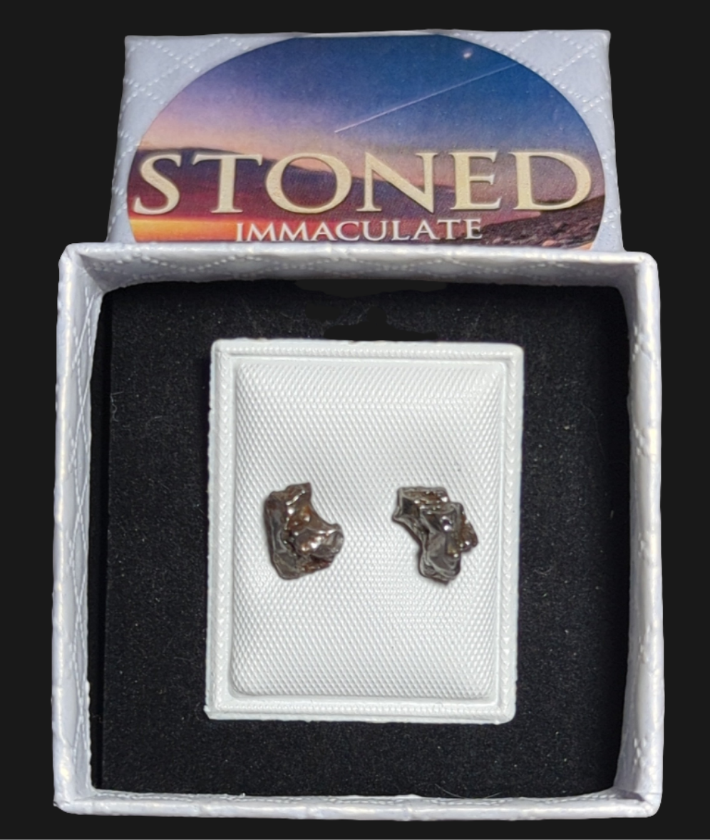 Campo del Cielo Meteorite Earrings