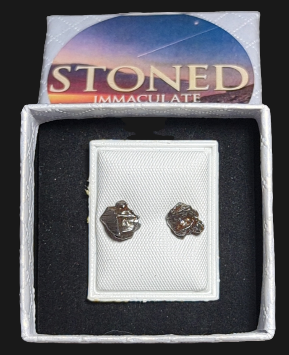 Campo del Cielo Meteorite Earrings