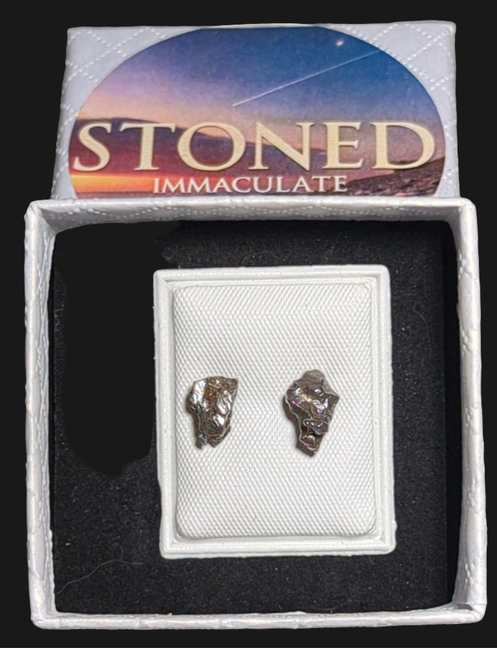 Campo del Cielo Meteorite Earrings